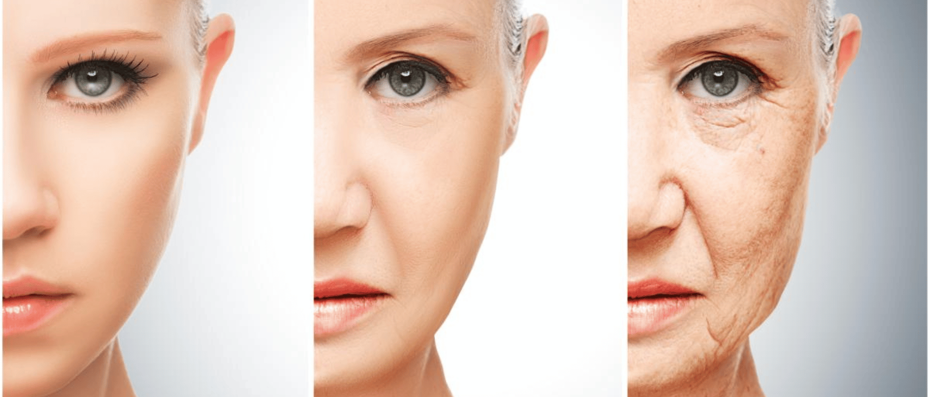 blog inner thumb : Wensleydale Dental